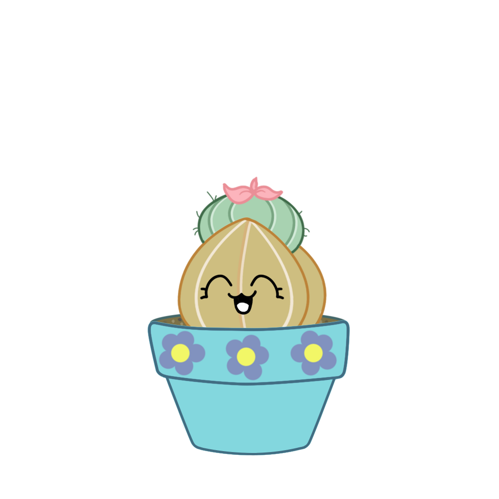 seed.png